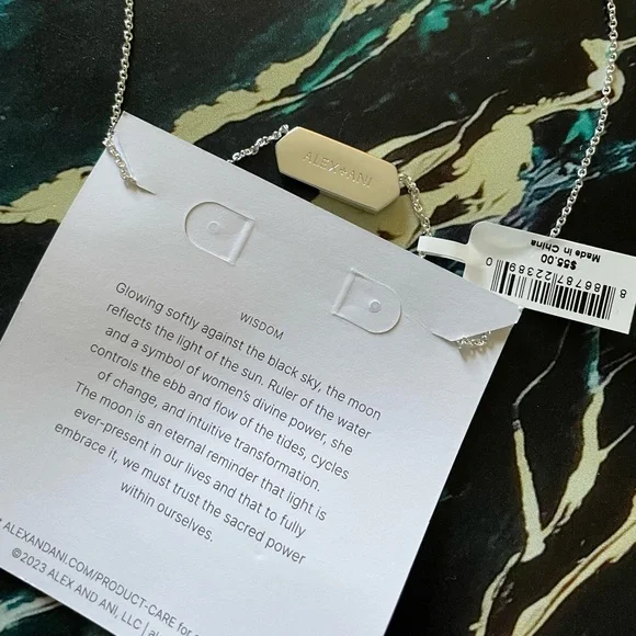 NWT Alex and Ani Druzy Pendant Necklace - Picture 3 of 9